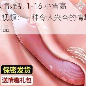 激情婬乱 1-16 小雪高 H 视频：一种令人兴奋的情趣用品