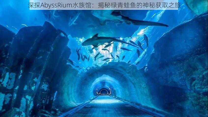 深探AbyssRium水族馆：揭秘绿青蛙鱼的神秘获取之旅