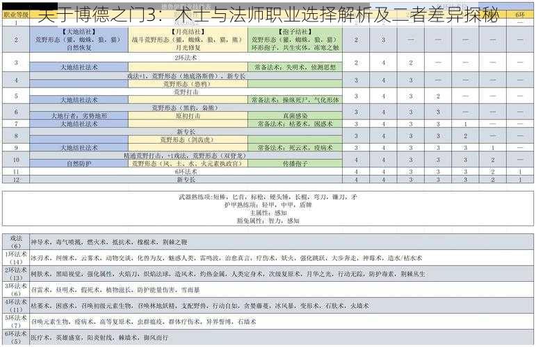 关于博德之门3：术士与法师职业选择解析及二者差异探秘